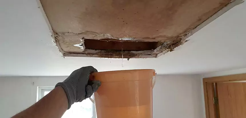 Ceiling Mold Repair Oakman 